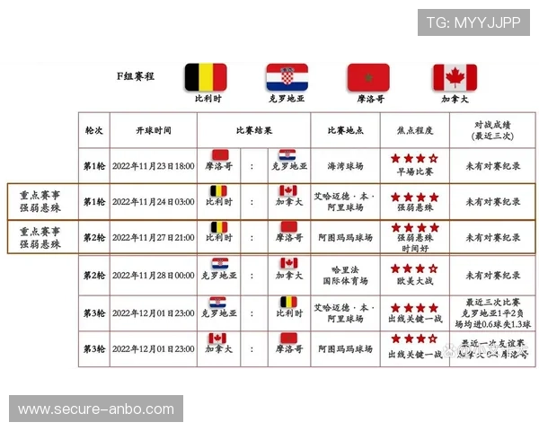 德国世界杯回顾与辉煌瞬间全面解析与深度剖析